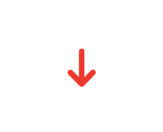 Statistic icon